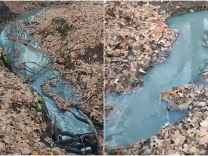 Уголовное дело по факту загрязнения реки Гуселка