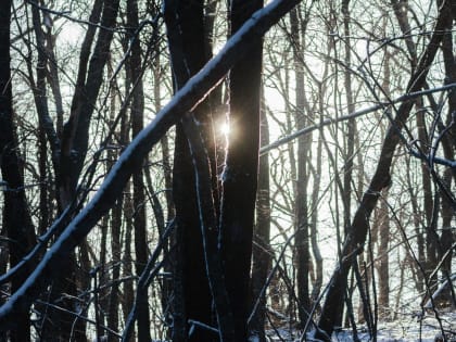 На Крещение в Саратове мороза не будет