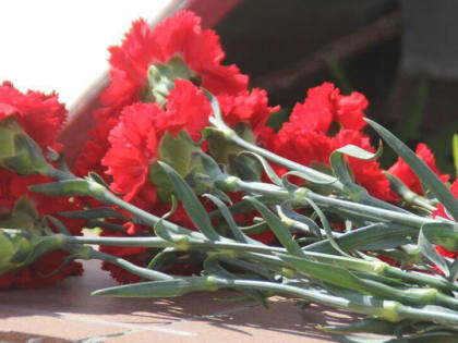 СВО. Энгельсские чиновники сообщили о гибели Алексея Егорова