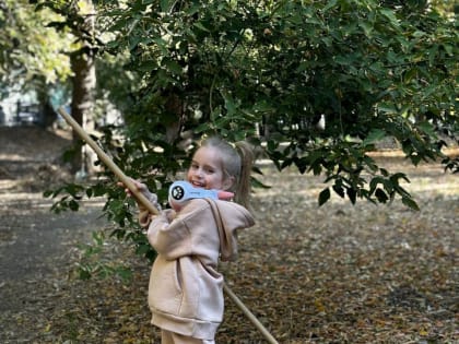 Субботник в Саратове: более 18 тысяч участников