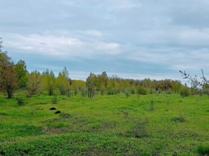 В Саратове теплее, но ветрено