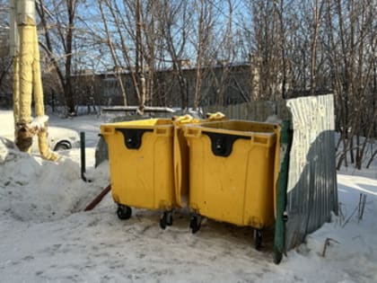 Максим Самсонов помог жителям своего округа добиться вывоза отходов с переполненной площадки