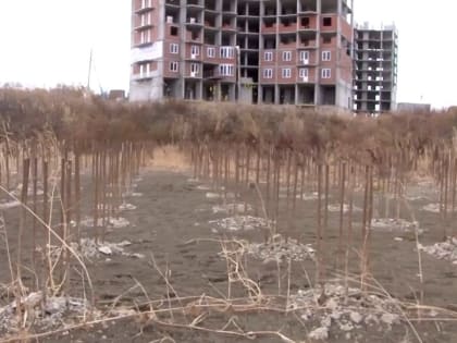 "Смертность бизнеса". За год ликвидировано 2095 саратовских предприятий