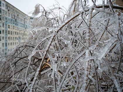 Минусовые температуры и ледяной дождь: рассказываем, какой погодой встретит жителей области новая неделя