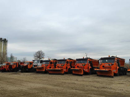 Подготовка Саратова к зимнему сезону