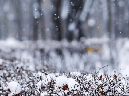 По прогнозу синоптиков, краснокутцев ожидает пасмурная погода и снег