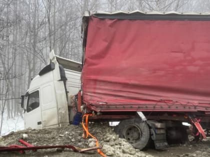 Туман, сильный ветер и дождь: ГИБДД предупреждает водителей об опасных погодных условиях