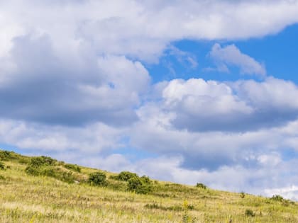 В Саратовской области ждут небольшой дождь и прохладный ветер