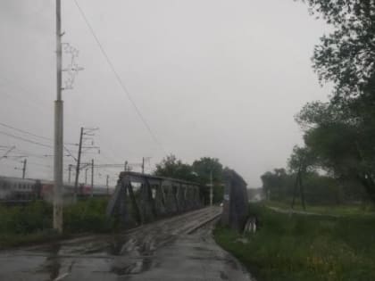 В Саратове теплее, но снова пойдет дождь