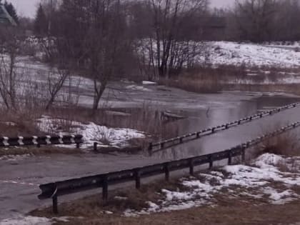 Паводок. На Медведице готовят лодочную переправу