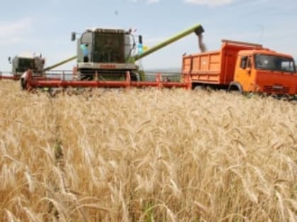 В Саратовской области на 84% выросла урожайность зерна