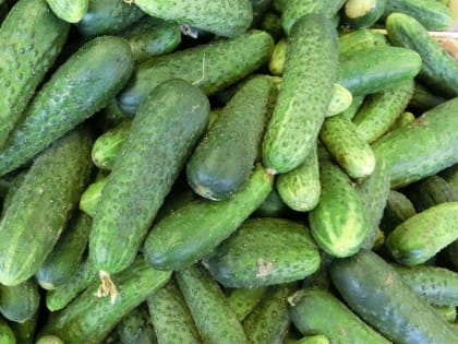 Саратовстат: огурцы и картошка дешевеют, а лук и бананы - дорожают