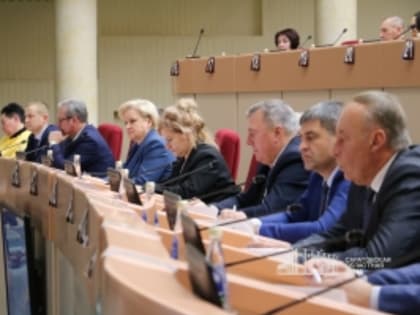 Спикер регпарламента призвал местных депутатов активнее бороться с&nbsp;«наливайками» и&nbsp;незаконной продажей вейпов