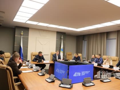 Президиум Молодежного парламента обсудил предварительные итоги работы за&nbsp;год