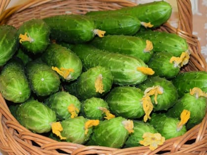 Рост цен на продукты в Саратовской области не останавливается. Свежие данные