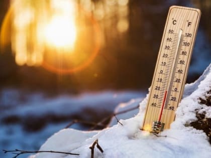 Морозная неделя без снега ожидается в Саратовской области