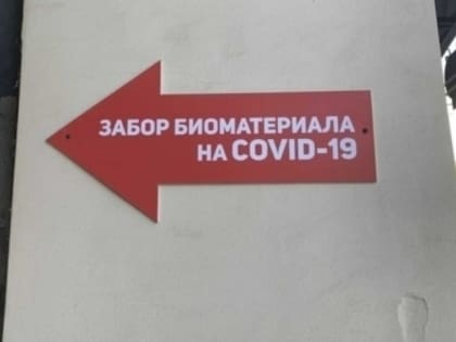 Ковид за сутки подтвердился еще у 272 жителей Саратовской области, в том числе и у 36 детей