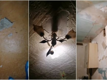 Гибель под плитой. 