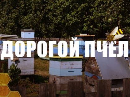 «Дорогой пчел». Г.А. Зюганов принял участие в празднике Большой Спас в Музее-заповеднике «Горки Ленинские»