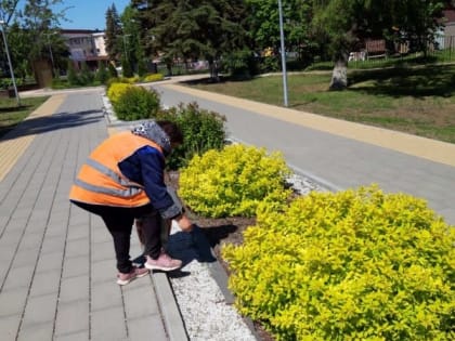 Благоустройство города. Работы проводятся ежедневно