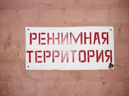 Председатель СК России потребовал доклад о делах Мишани Кобзона в Саратове