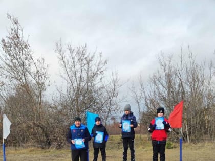Новые инициативы правительства по поддержке малого бизнеса