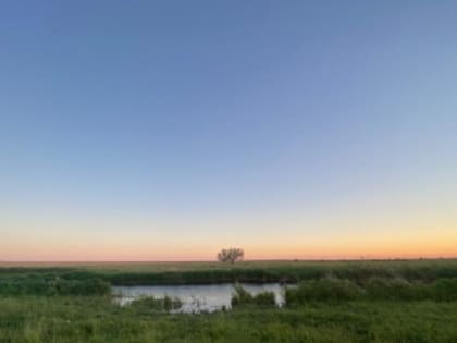 По факту смерти мужчины в Озинском районе следователями СК организована доследственная проверка