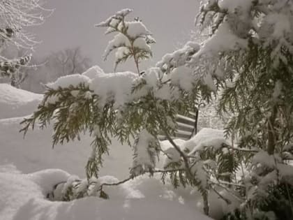 Метель и до -20 градусов в Саратовской области