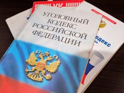 В Саратове перед судом предстанет юноша, обвиняемый в совершении хищений