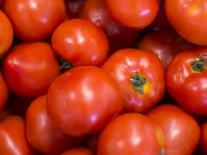 В Саратове молодые люди раскладывали начиненные наркотиками помидоры