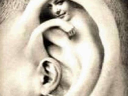 Беседа с инсайдером: возможно, Петаева уволили рано