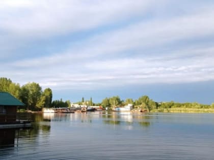 Саратовцы поразились температуре воздуха плюс 54 градуса