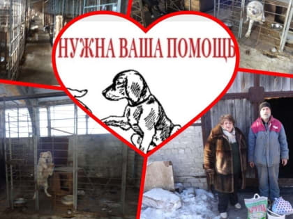 Детско-юношеский Центр Петровска проводит акцию «Человек собаке друг»