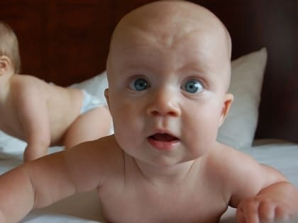 В саратовских семьях родились Аврора, Лиса, Феликс и Антип