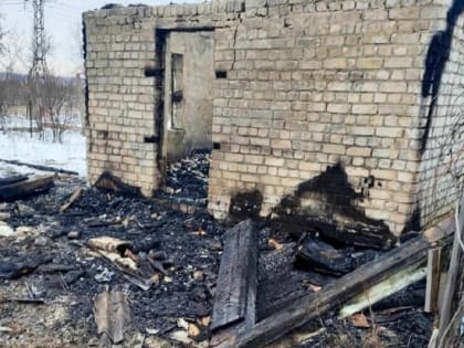 В Саратове мужчина едва успел спастись из загоревшейся дачи