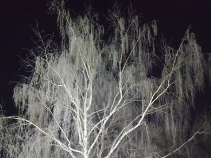 Саратовцев ждет еще один морозный день