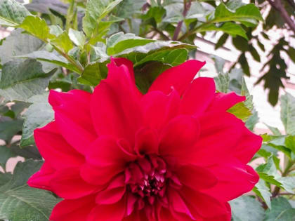 Переменная облачность без осадков прогнозируется в пятничный день