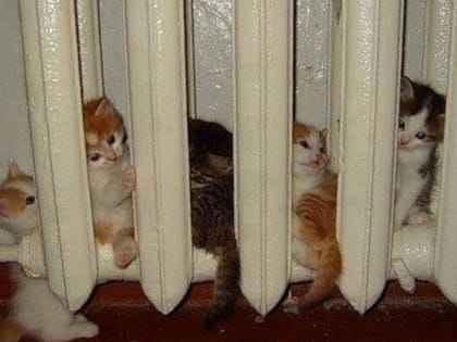 Внимание! Запуск котельных в Марксе!