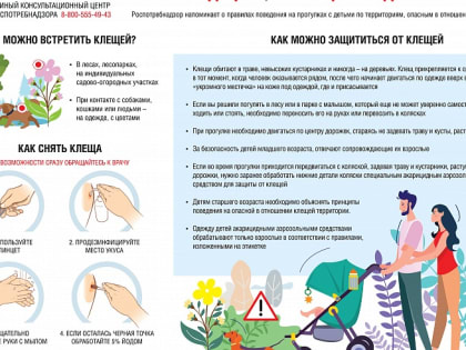 Как защитить детей от клещей