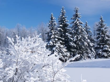 Оперативный прогноз погоды 8 января 2023 года