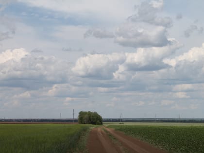 Синоптики прогнозируют в пятницу жару, но ожидается дождик