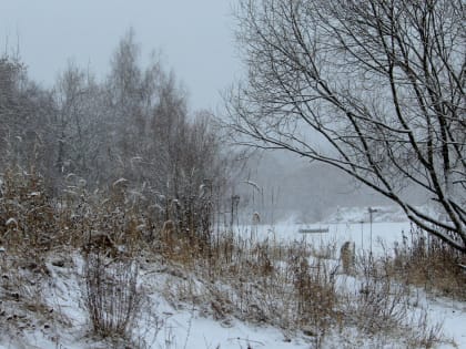 Пасмурную погоду обещают синоптики в четверг