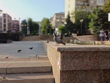 В Саратове ветрено и без осадков