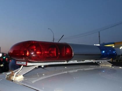 В Саратове водителей осудят за гибель двух пешеходов