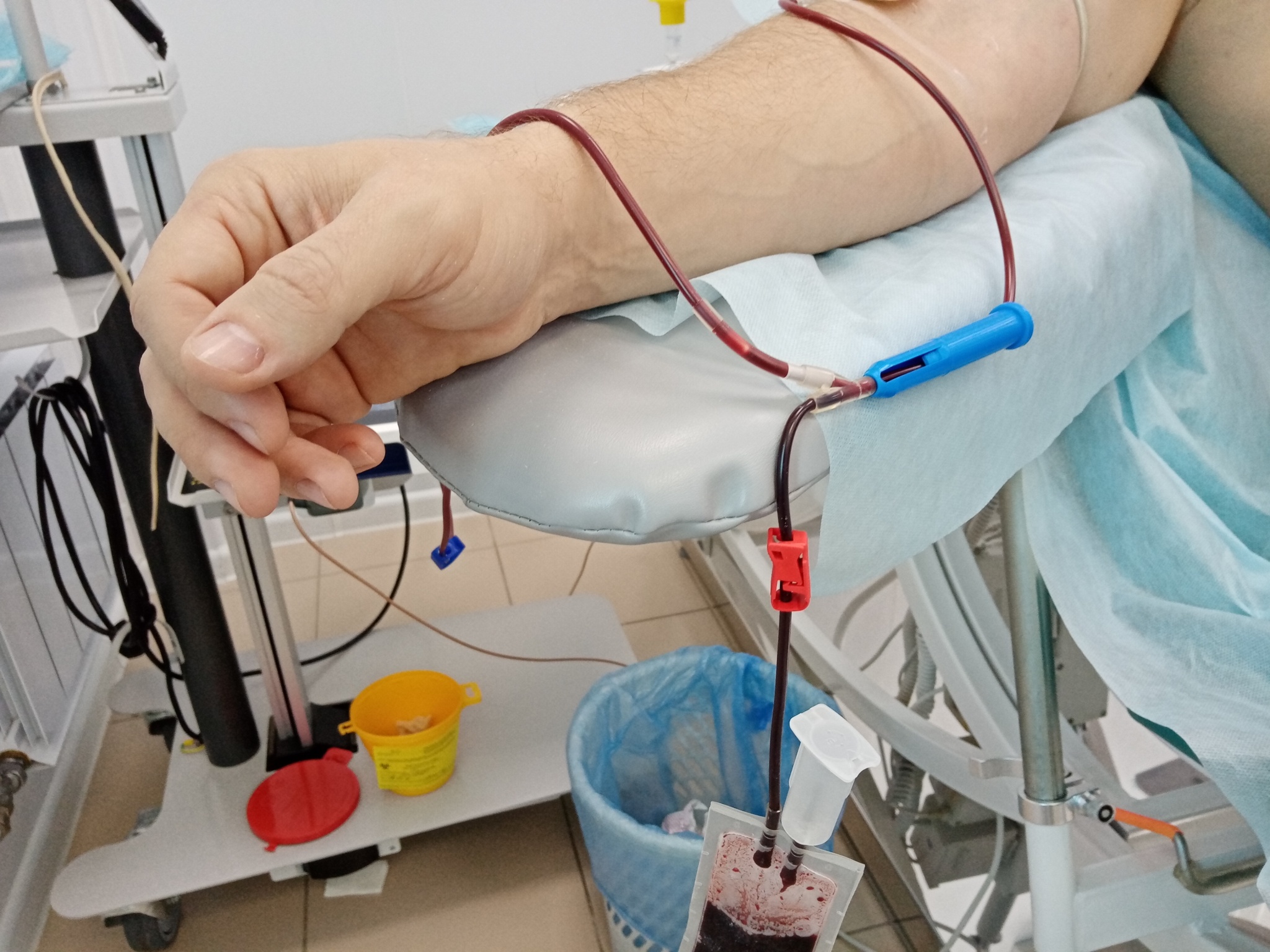 Сдача крови. Доноры.забор крови и ее консервация.. Кровесберегающие технологии в трансфузиологии.