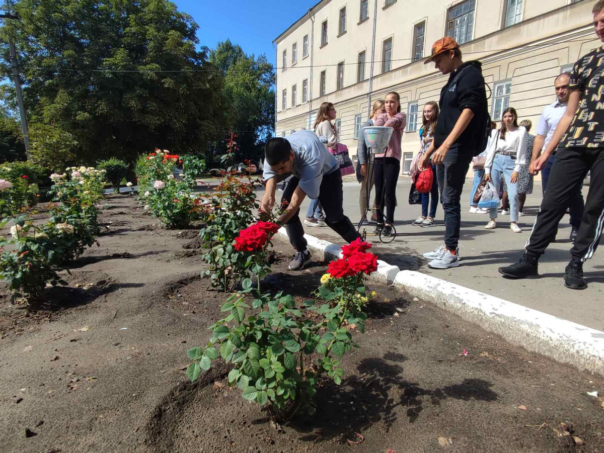 Новости жизни