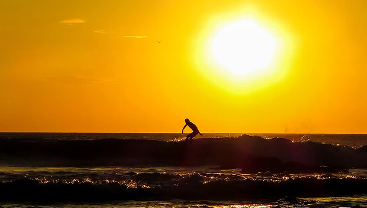 horizontes sunsetsurfer langosta