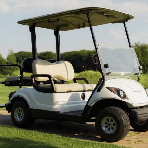 Golf Cart Rental