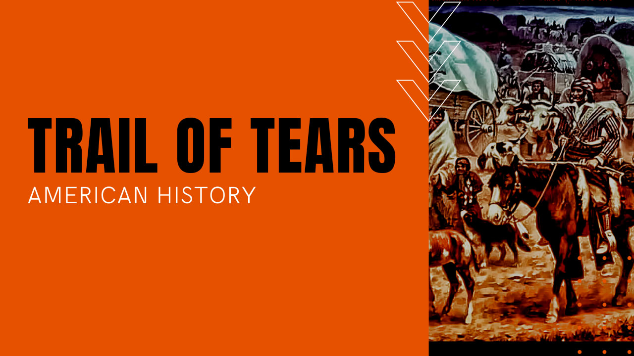 andrew jackson trail of tears essay