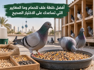 أفضل خلطة علف للحمام - أعلاف السلطان